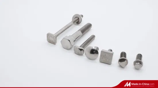 Stainless Steel 304 316 Flange Bolt/Carriage Bolt/Square Bolt/Through Bolt/Wedge Anchor